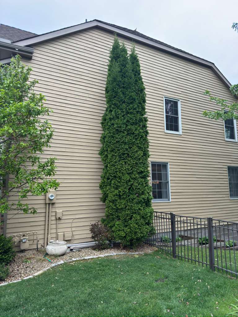 Tan siding home after exterior painting